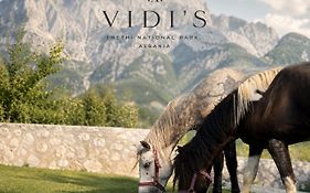 Vidis Chalet Boutique Hotel
